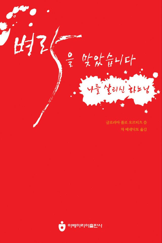 벼락을 맞았습니다.jpg