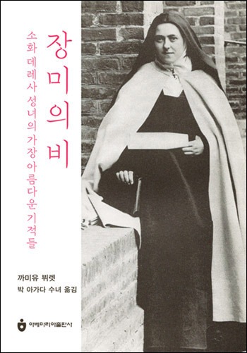 장미의 비 크게.jpg