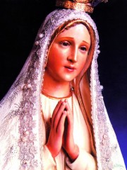 파티마의 성모님 성화 모음 5개 묶음 한세트