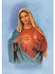 성모 성심 21x29cm