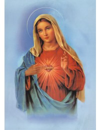 성모 성심 21x29cm