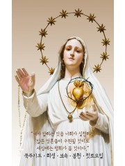 아침봉헌기도문-스카풀라를 착용하면서 드리는 기도 8.7x14.5cm 2단 접지