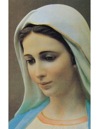 메주고리예 성모 대-26x35cm옆모습 / 소-10x15cm 옆/정면